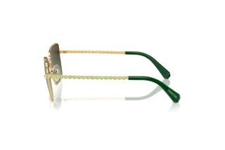 Seitenansicht Swarovski SK7015 (4004E8)