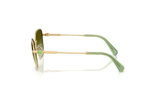 Seitenansicht Swarovski SK7029 (4004E8)