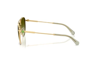 Seitenansicht Swarovski SK7031 (4017E8)