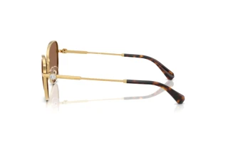 Seitenansicht Swarovski SK7032 (400473)