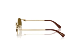 Seitenansicht Swarovski SK7033 (404673)