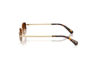 Seitenansicht Swarovski SK7035D (401374)