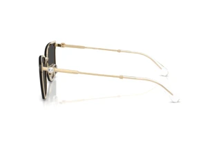 Seitenansicht Swarovski SK7036D (401387)