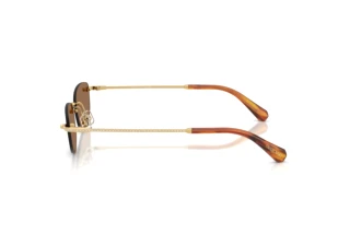 Seitenansicht Swarovski SK7045D (400473)