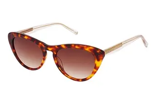 Ted Baker 1690 100