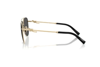 Seitenansicht Tiffany TF3116 (6021S4)