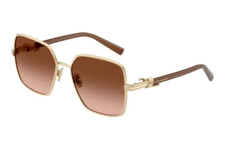 Vorderansicht Tiffany TF3122 (61773B)