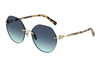 Vorderansicht Tiffany TF3123 (60219S)