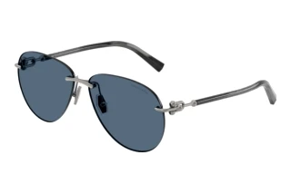 Vorderansicht Tiffany TF3124 (600380)