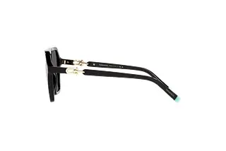 Seitenansicht Tiffany TF4198 (8001S4)