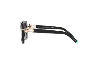 Seitenansicht Tiffany TF4199 (80013C)