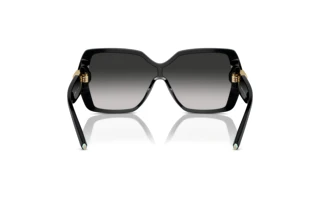 Rückansicht Tiffany TF4219 (80013C)