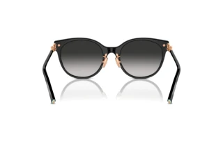 Rückansicht Tiffany TF4223D (80013C)