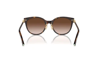 Rückansicht Tiffany TF4223D (80153B)