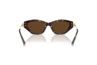 Rückansicht Tiffany TF4231U (80153G)