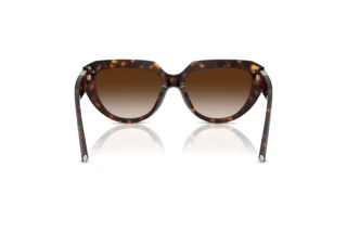 Rückansicht Tiffany TF4238U (80153B)