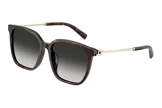 Tiffany TF4244D 80153C Grey GradientHavana