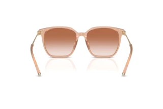 Rückansicht Tiffany TF4244D (826813)