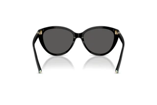 Rückansicht Tiffany TF4251 (8001S4)