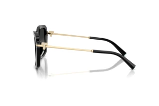 Seitenansicht Tiffany TF4252B (80013C)