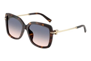 Vorderansicht Tiffany TF4252B (801516)