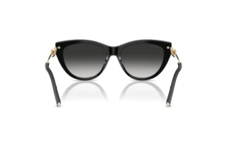 Rückansicht Tiffany TF4253 (80013C)