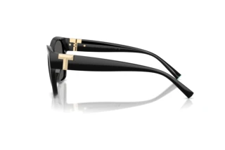 Seitenansicht Tiffany TF4254U (8001S4)