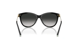 Rückansicht Tiffany TF4258BU (80013C)