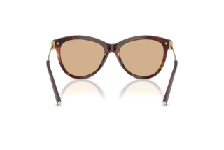 Rückansicht Tiffany TF4258BU (8421/8)