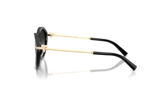 Seitenansicht Tiffany TF4259 (80013C)