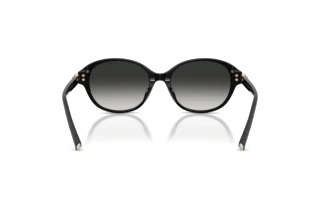 Rückansicht Tiffany TF4263D (80013C)