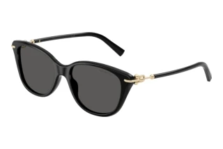 Vorderansicht Tiffany TF4267 (8001S4)