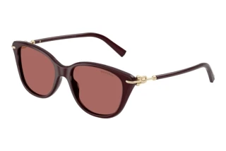 Vorderansicht Tiffany TF4267 (847069)