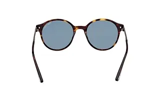 Rückansicht Tom Ford ARAKI (FT1184 - 52N)