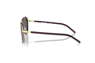 Seitenansicht Tory Burch TY6089 (194887)