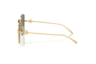 Seitenansicht Tory Burch TY6106D (334387)