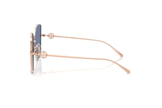 Seitenansicht Tory Burch TY6106D (33584U)