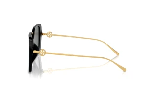 Seitenansicht Tory Burch TY7205D (170987)