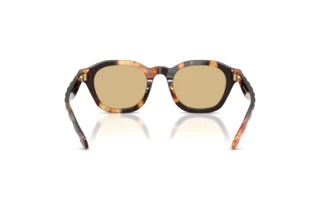 Rückansicht Tory Burch TY7235D (20660R)