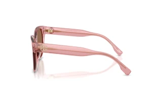 Seitenansicht Tory Burch TY7236U (202173)