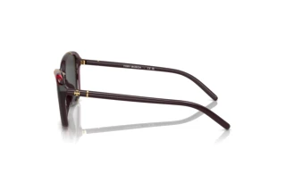 Seitenansicht Tory Burch TY9074U (194887)