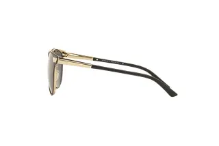 Seitenansicht Versace VE2168 (1377T3)