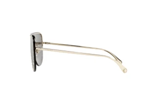 Seitenansicht Versace VE2230B (12526G)