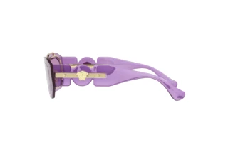Seitenansicht Versace VE2235 (100284)
