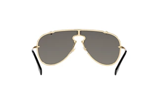 Rückansicht Versace VE2243 (10026G)