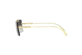 Seitenansicht Versace VE2245 (10028G)