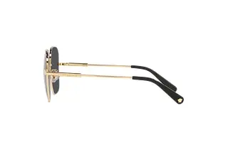 Seitenansicht Versace VE2246D (100287)