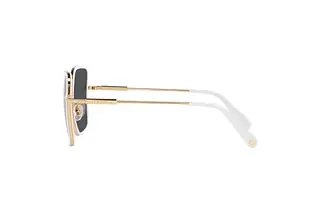 Seitenansicht Versace VE2247D (147187)