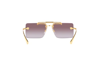 Rückansicht Versace VE2251 (10026G)