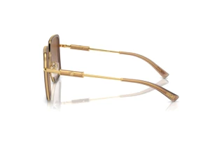 Seitenansicht Versace VE2261 (100213)